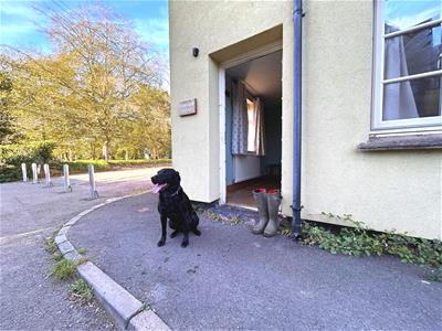 Picture 11